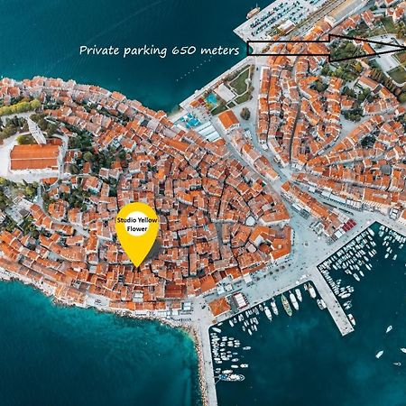Studio Yellow Flower Rovinj Exterior photo