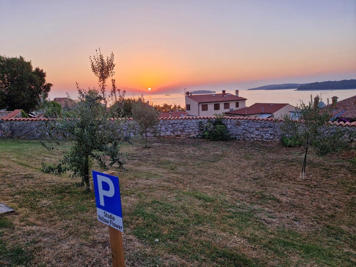 Studio Yellow Flower Rovinj Exterior photo