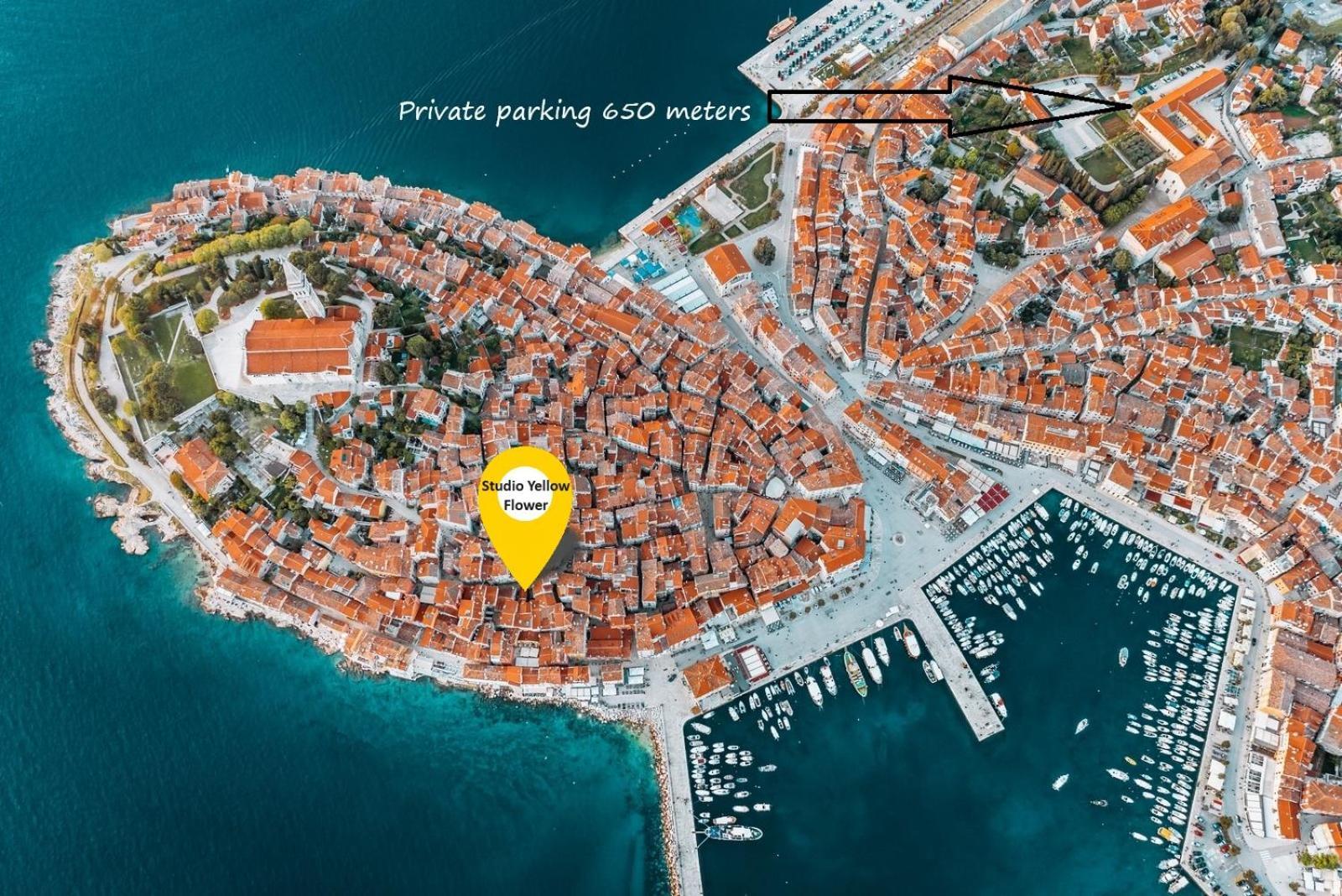 Studio Yellow Flower Rovinj Exterior photo