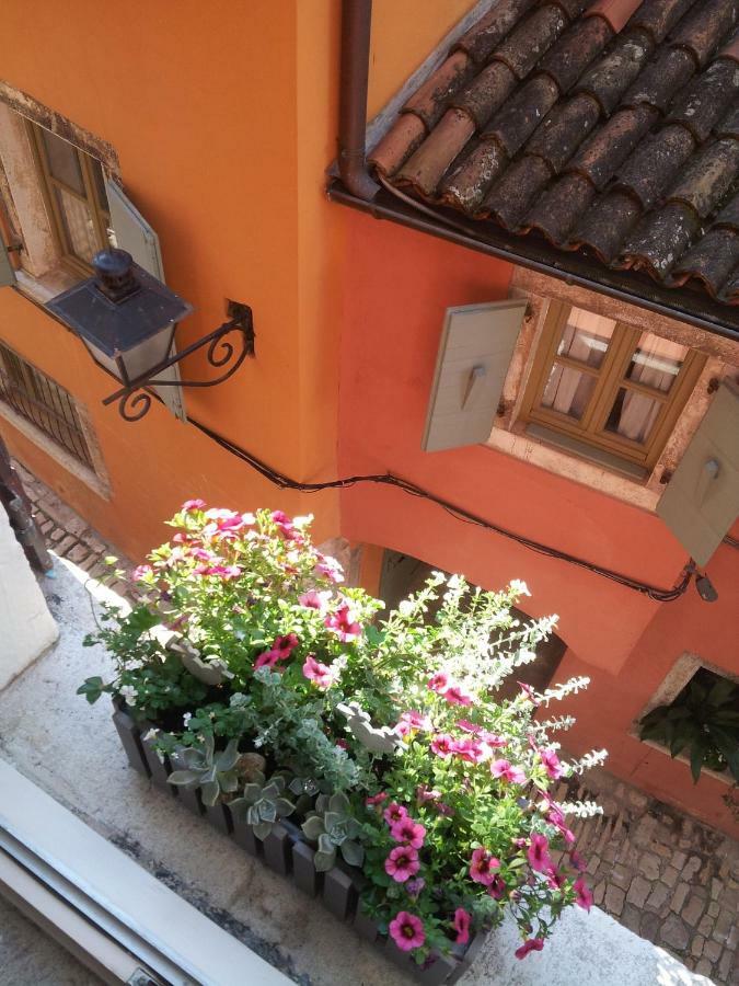 Studio Yellow Flower Rovinj Exterior photo